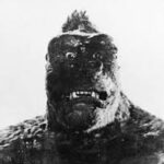 General KNoowledge Quiz 34