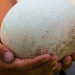 General Knowledge Quiz 20